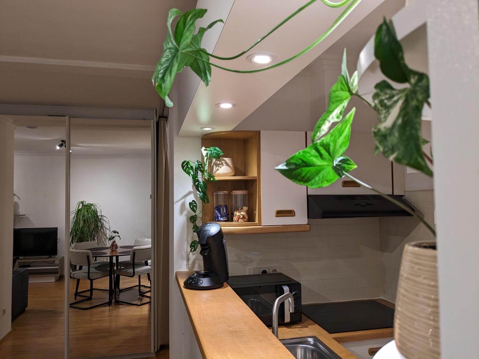 Vista Linda, Leuk Appartement Vlak Bij Zeedijk En Strand Oostende Dış mekan fotoğraf